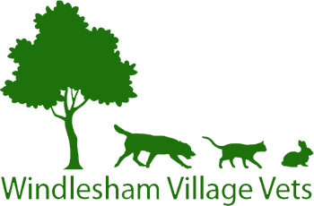 Visit Windlesham Vet home page