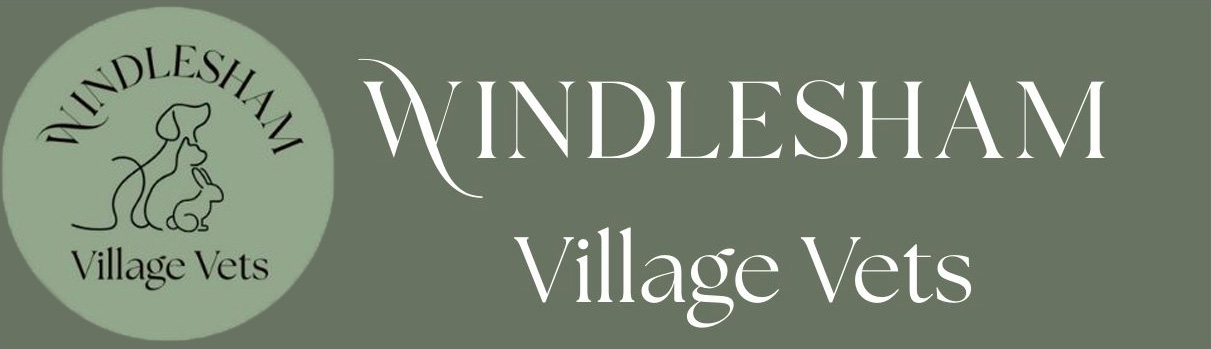 Visit Windlesham Vet home page